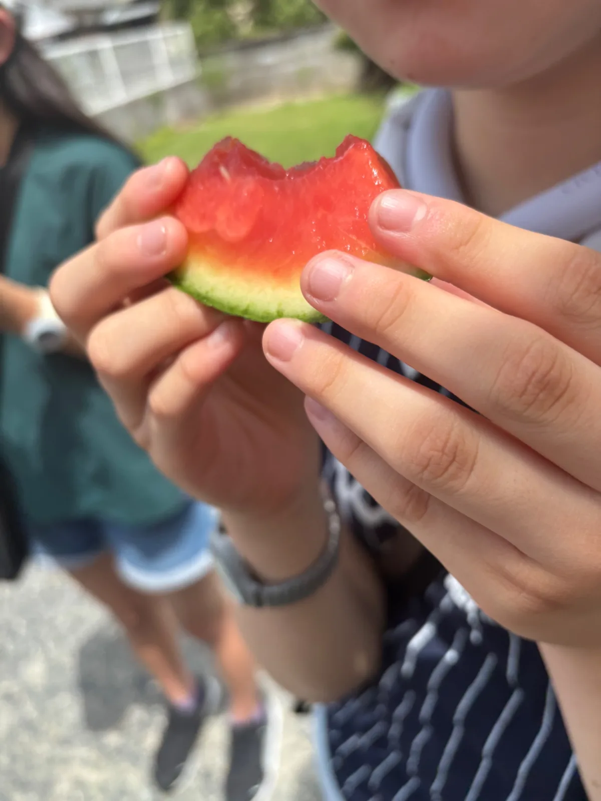 Fresh, juicy watermelon illustrating the Japanese word mizumizushii